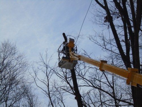 Ropes used to lower the limbs