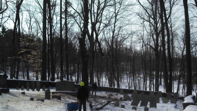 Lowering a maple limb