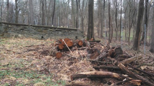 IMG_20150409_114853_966 (800x450)