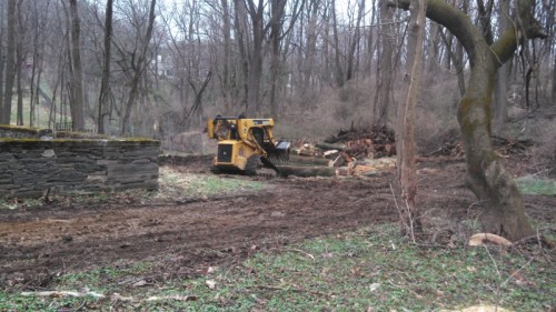 IMG_20150409_145552_776 (800x450)