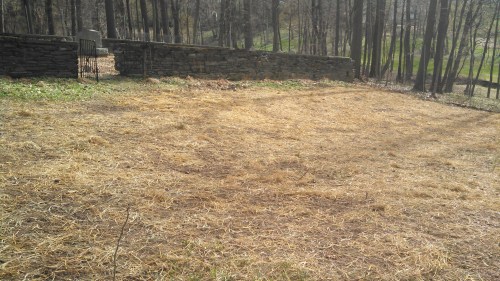 IMG_20150415_155850_434