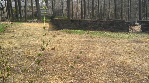 IMG_20150415_155853_912